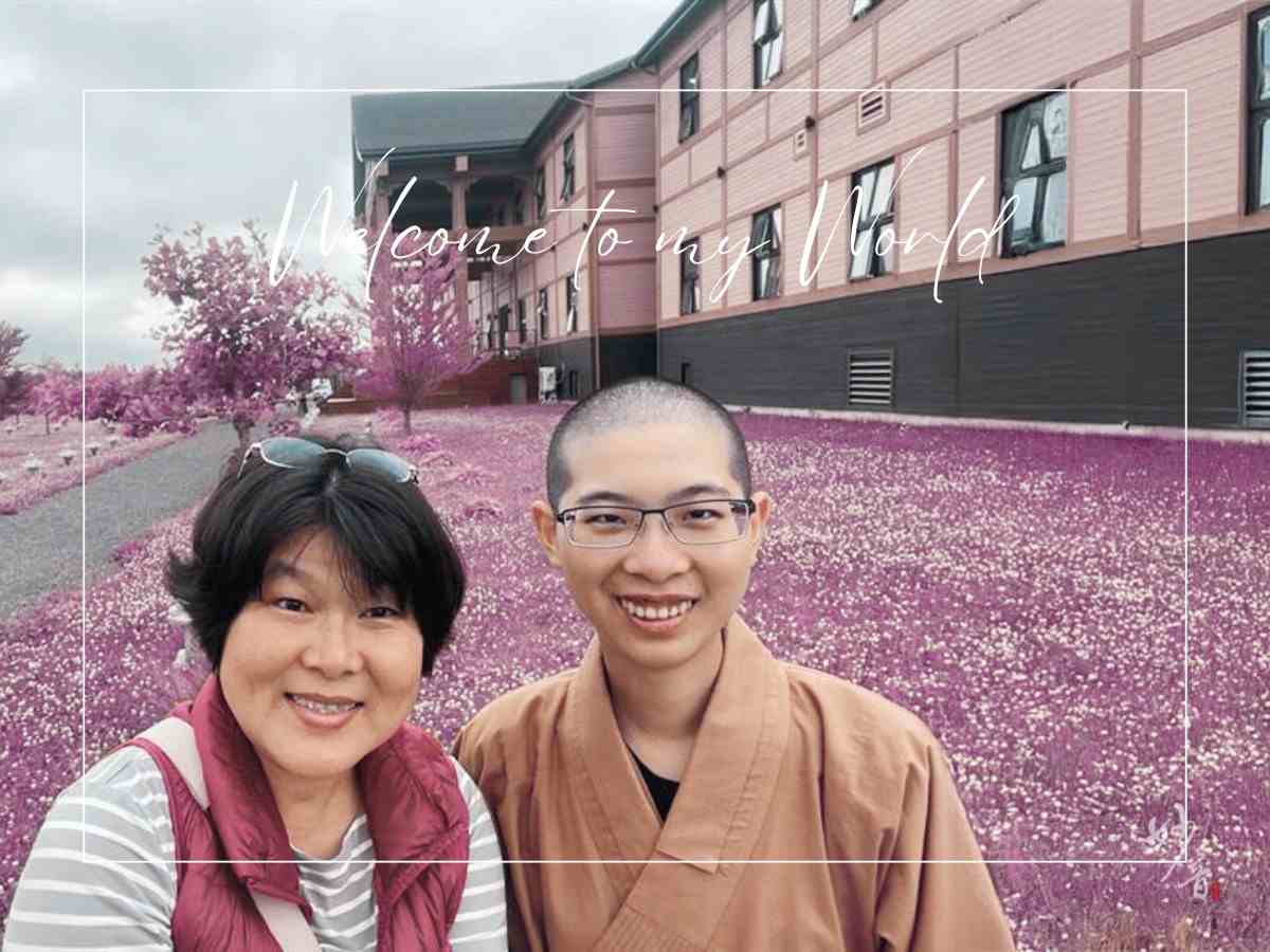 靜待 春暖花開